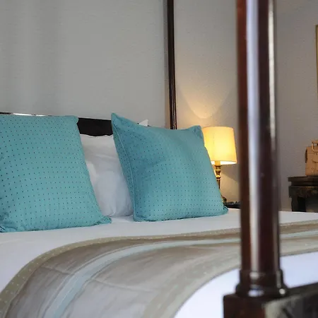 California Champs Elysees Paris